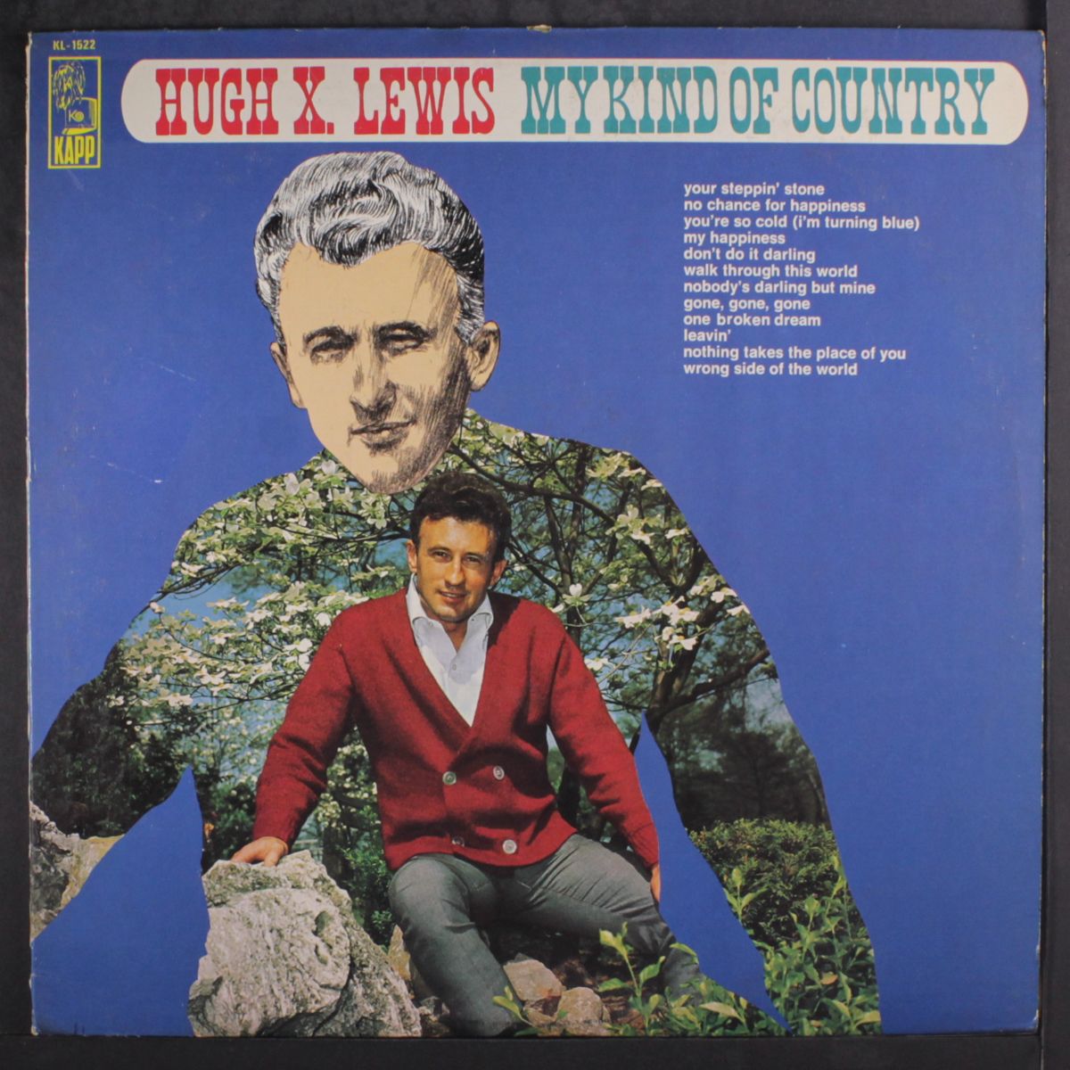 my kind of country by HUGH X. LEWIS