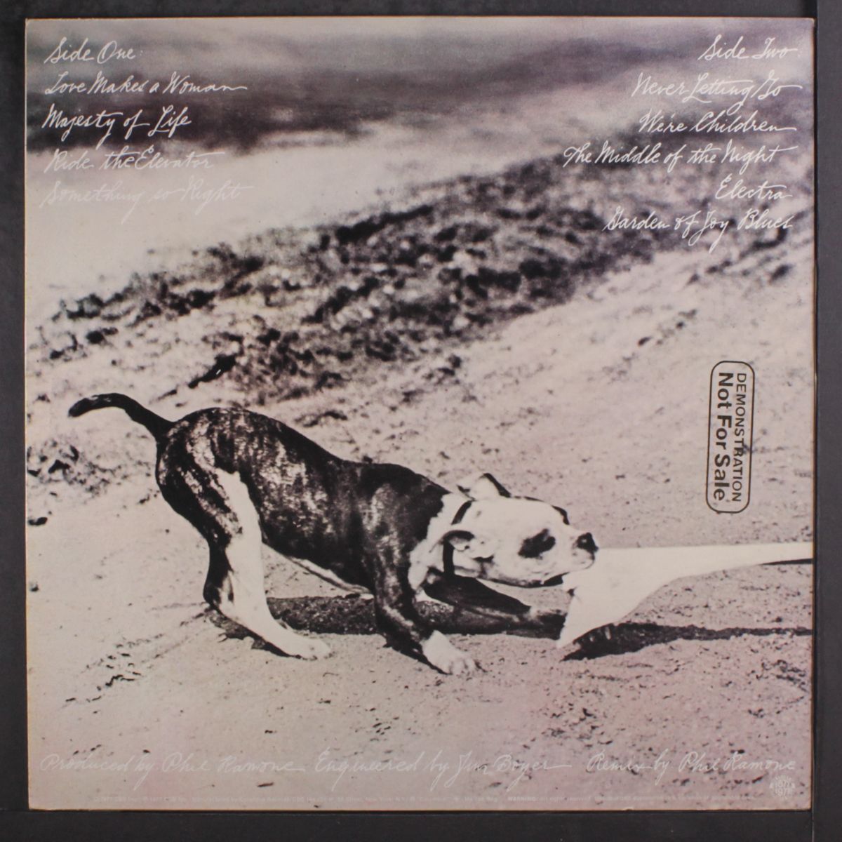 never letting go by PHOEBE SNOW