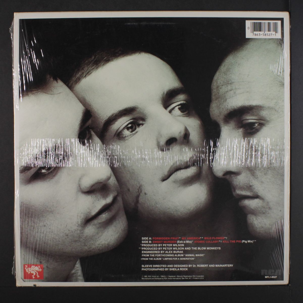 forbidden fruit by BLOW MONKEYS