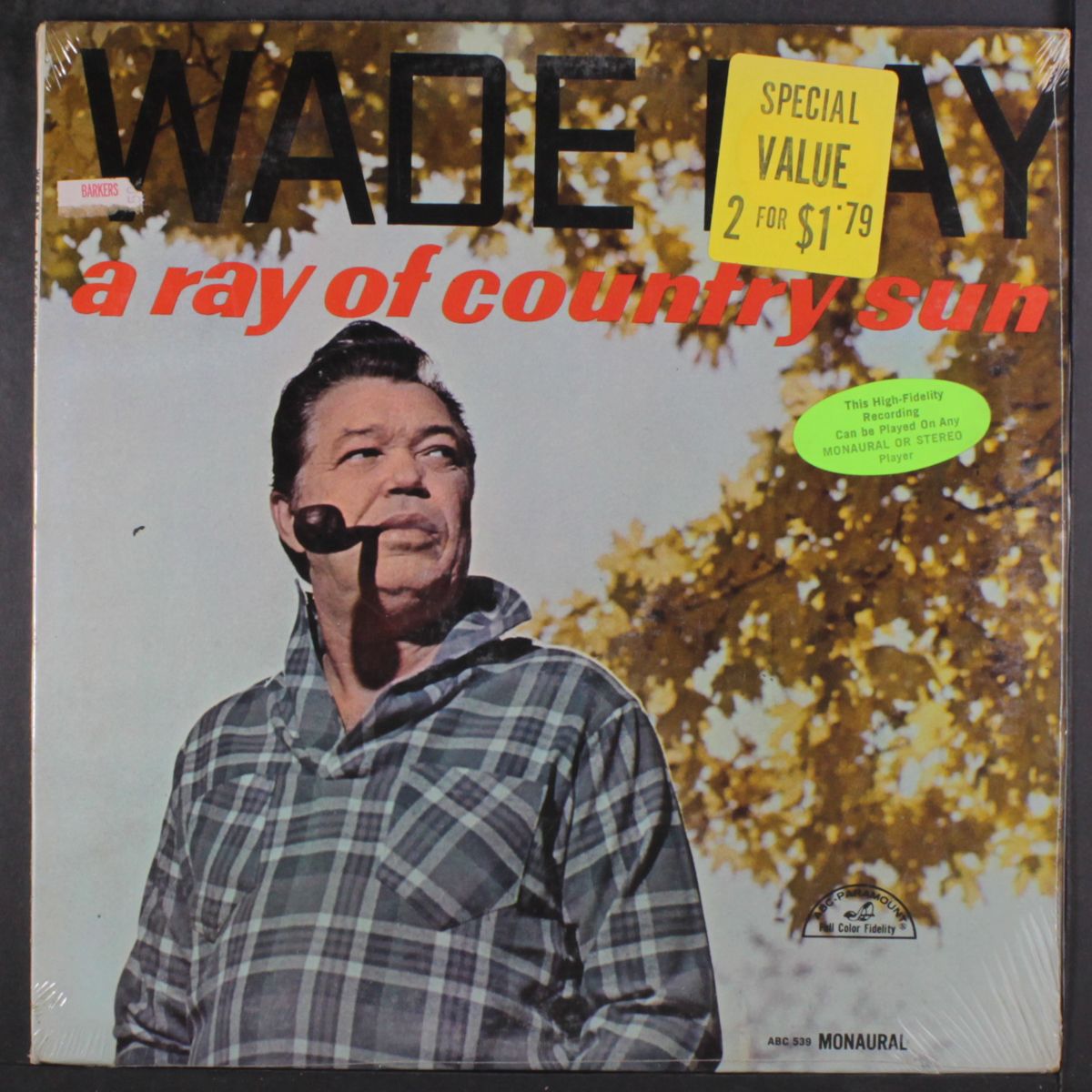 a ray of country sun by WADE RAY