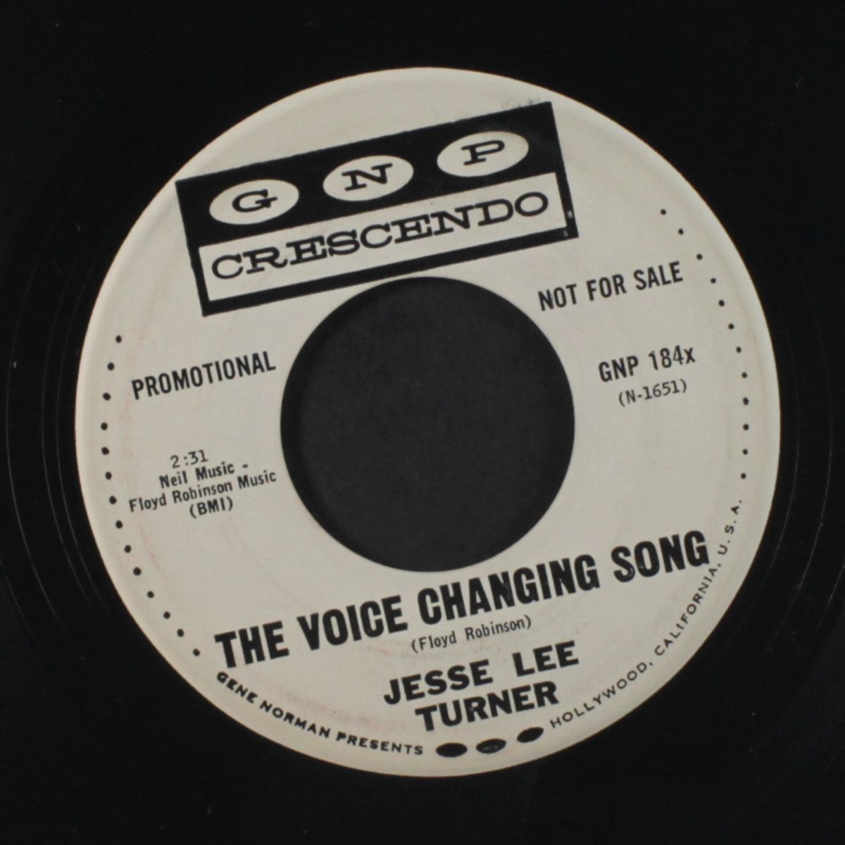 the voice changing song / all you gotta do by JESSE LEE TURNER
