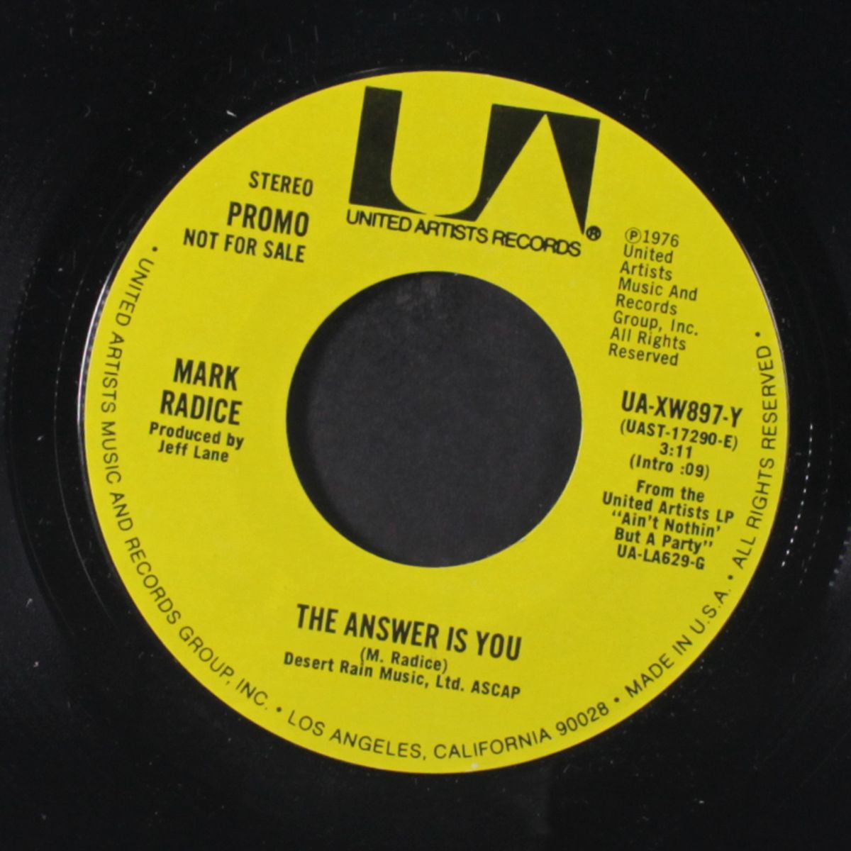 the answer is you / same by MARK RADICE