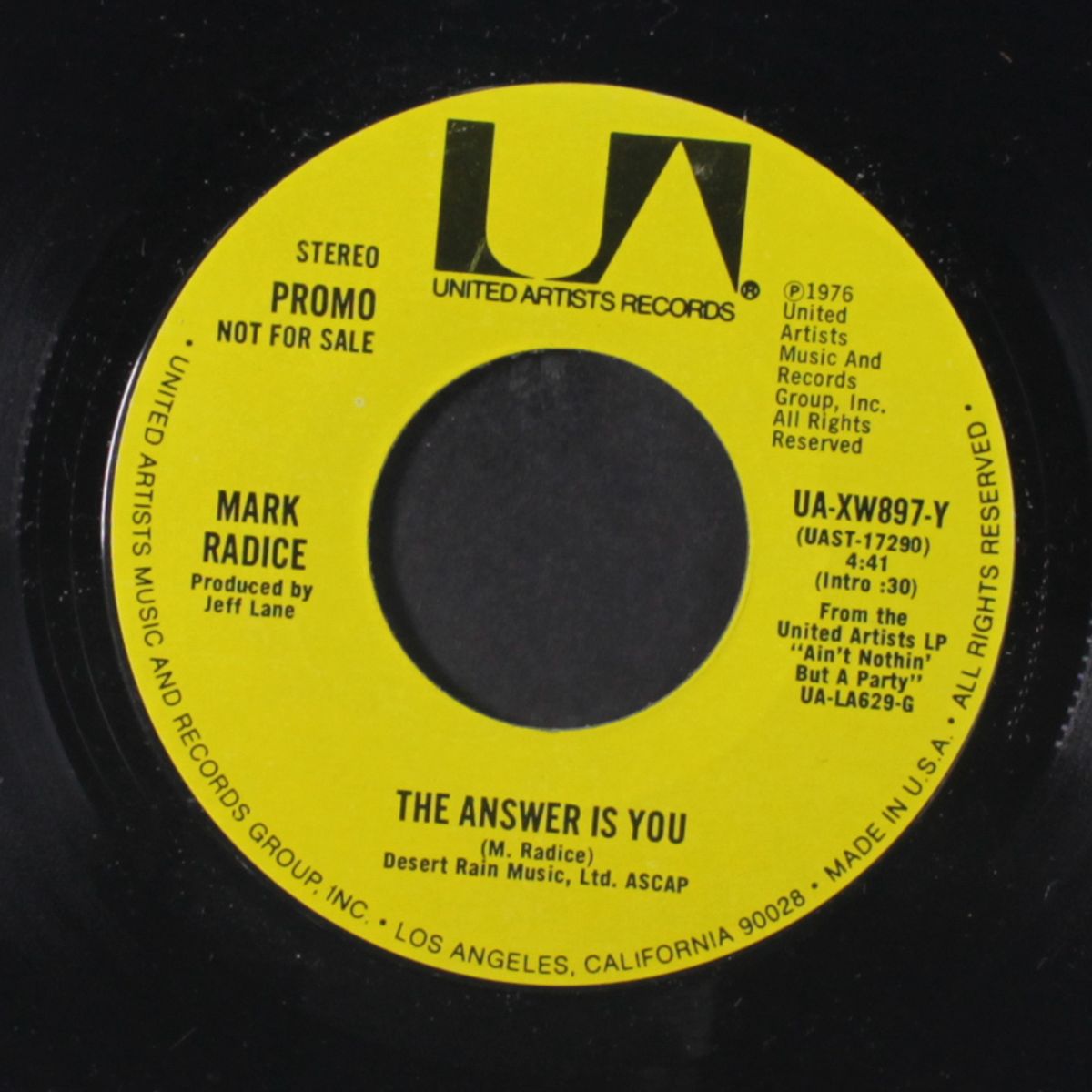 the answer is you / same by MARK RADICE