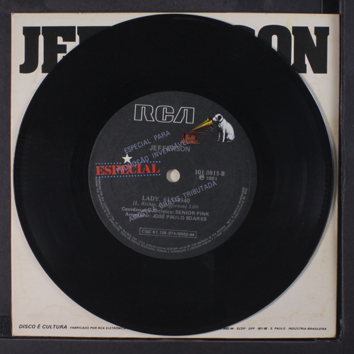 fruto de uma paixao / lady by JEFFERSON
