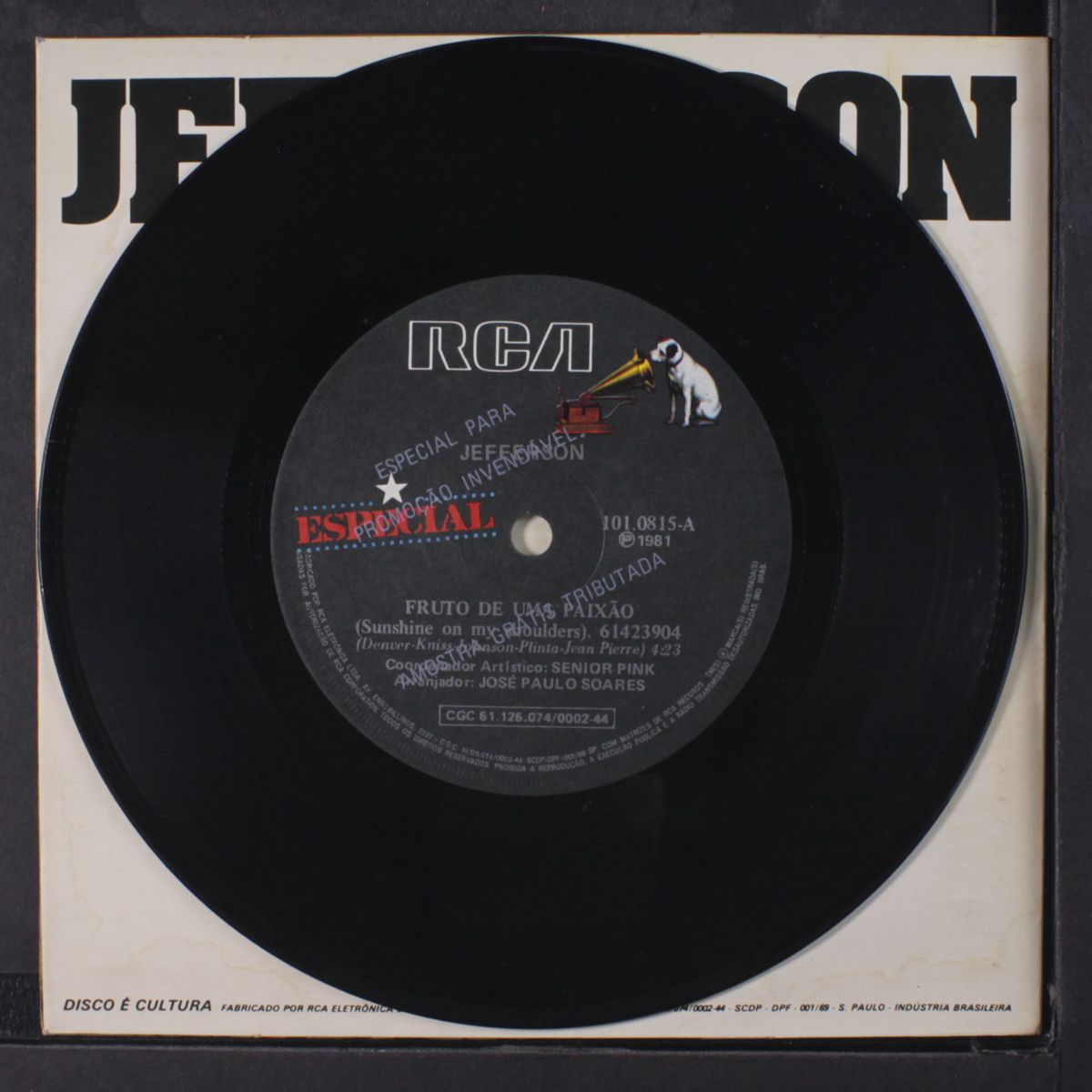 fruto de uma paixao / lady by JEFFERSON