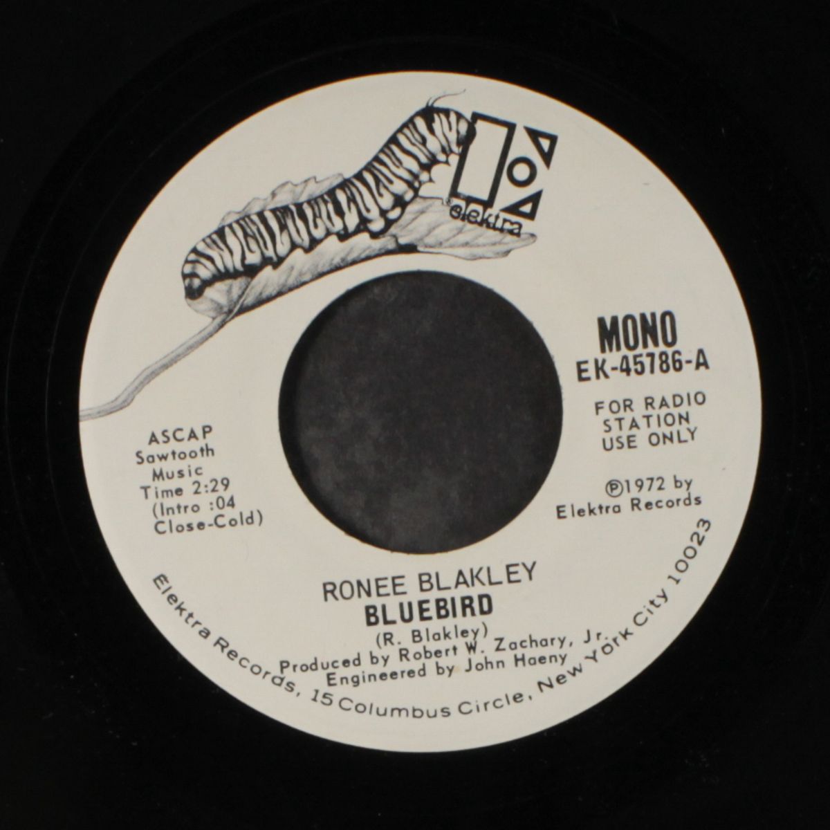 bluebird / mono by RONEE BLAKLEY