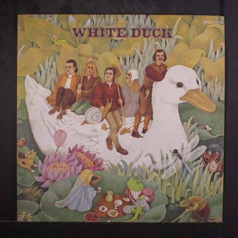WHITE DUCK