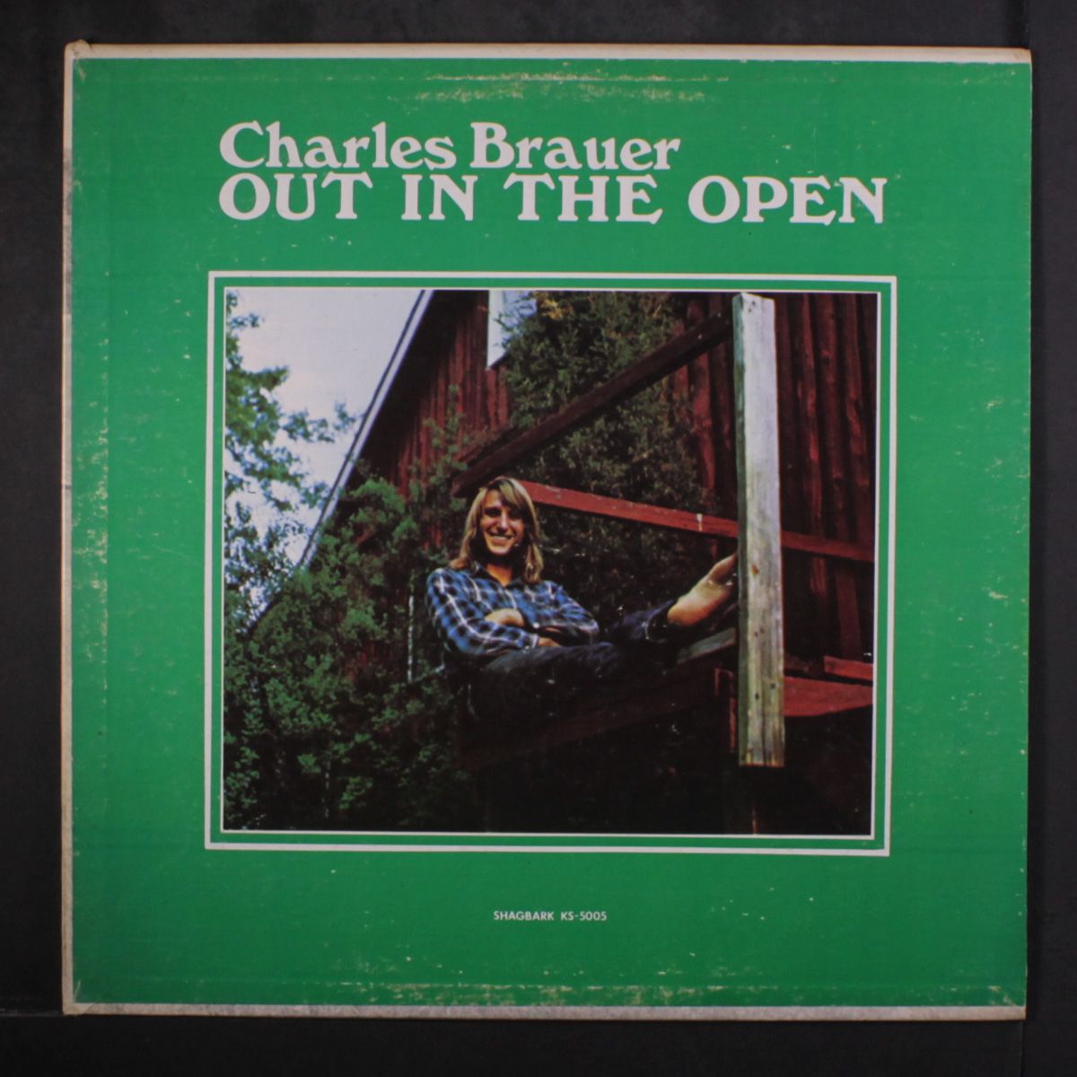 out in the open by CHARLES BRAUER