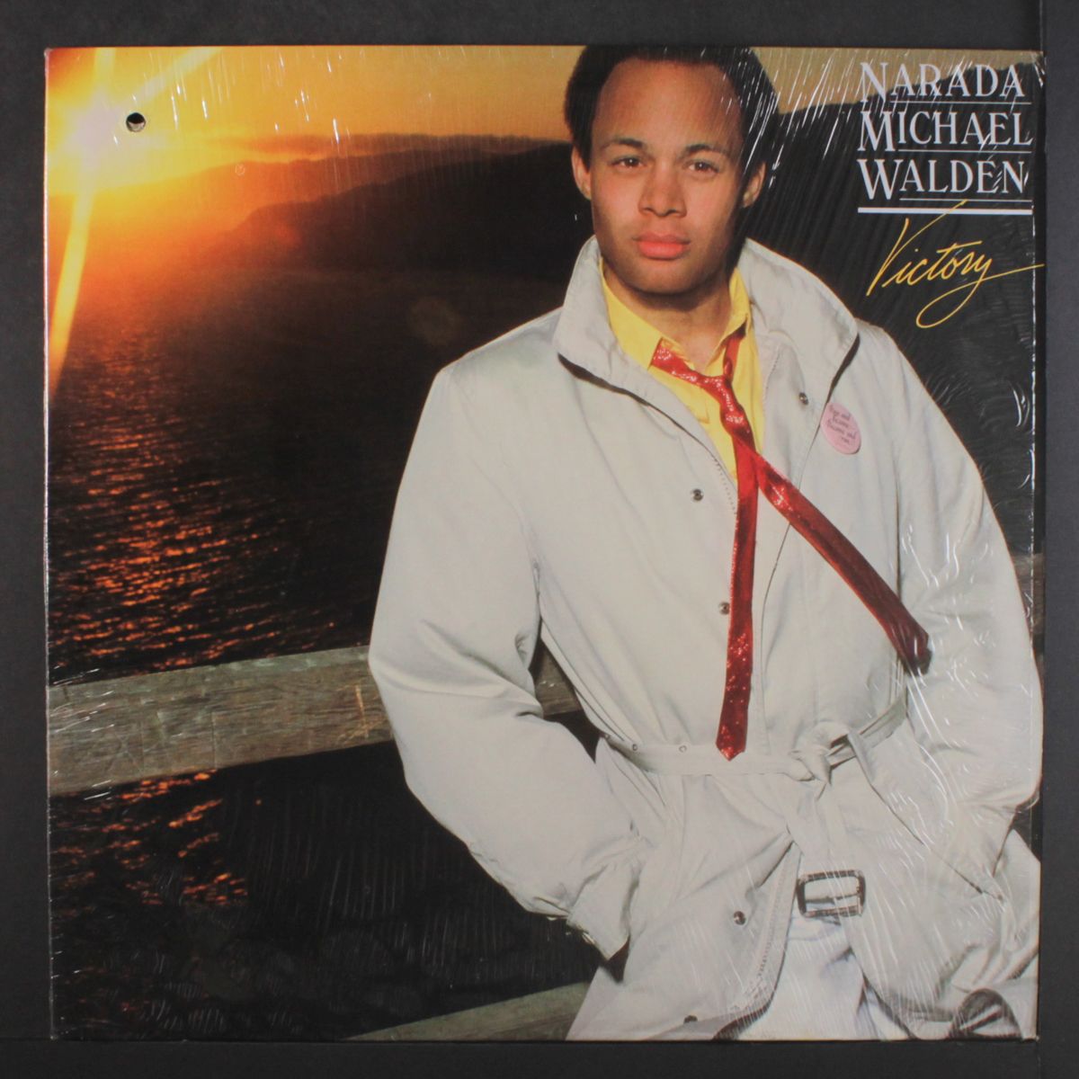 victory by NARADA MICHAEL WALDEN