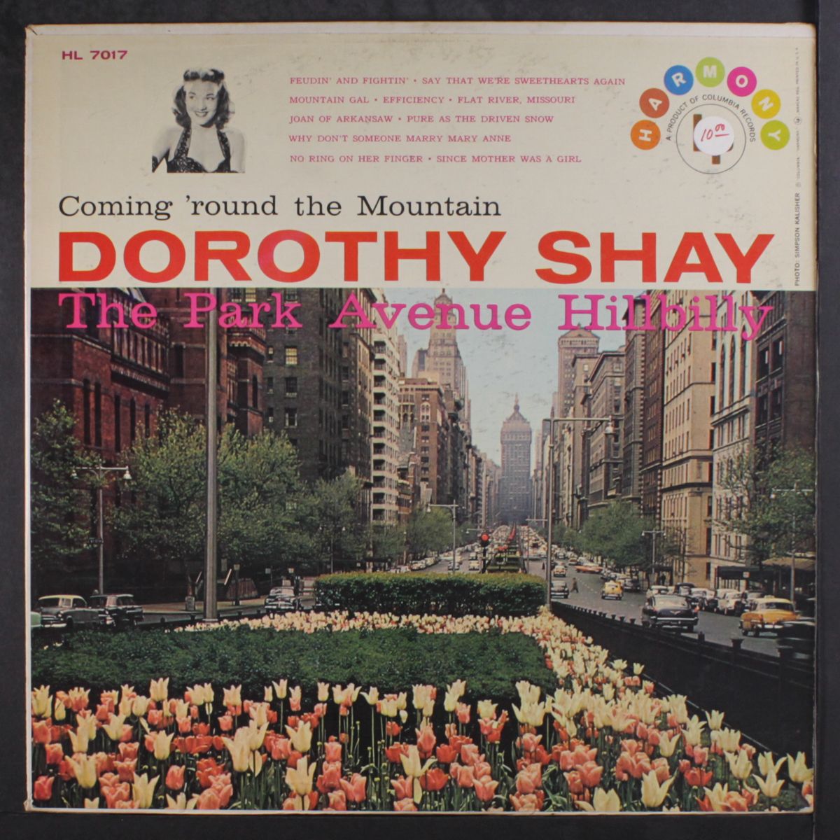 the park avenue hillbilly by DOROTHY SHAY