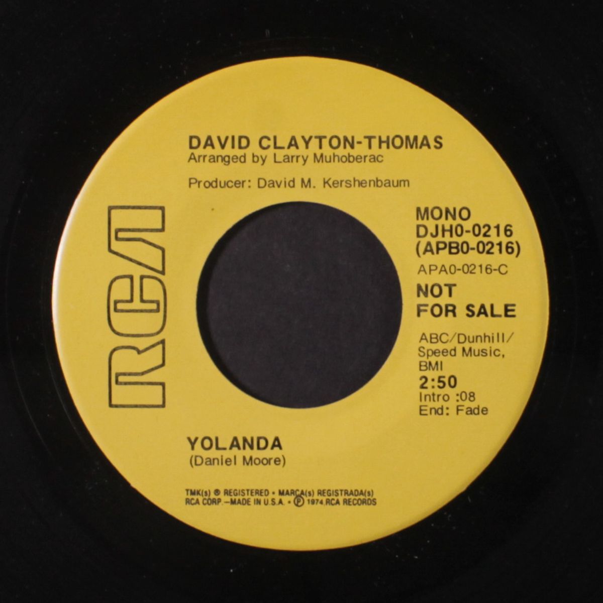 yolanda / mono by DAVID CLAYTON THOMAS