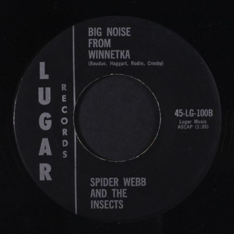 SPIDER WEBB & INSECTS