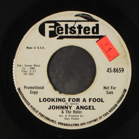 JOHNNY ANGEL & HALOS