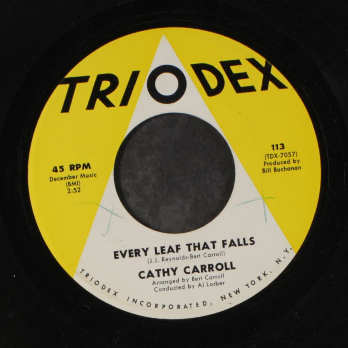 i'll light a candle / every leaf that falls by CATHY CARROLL