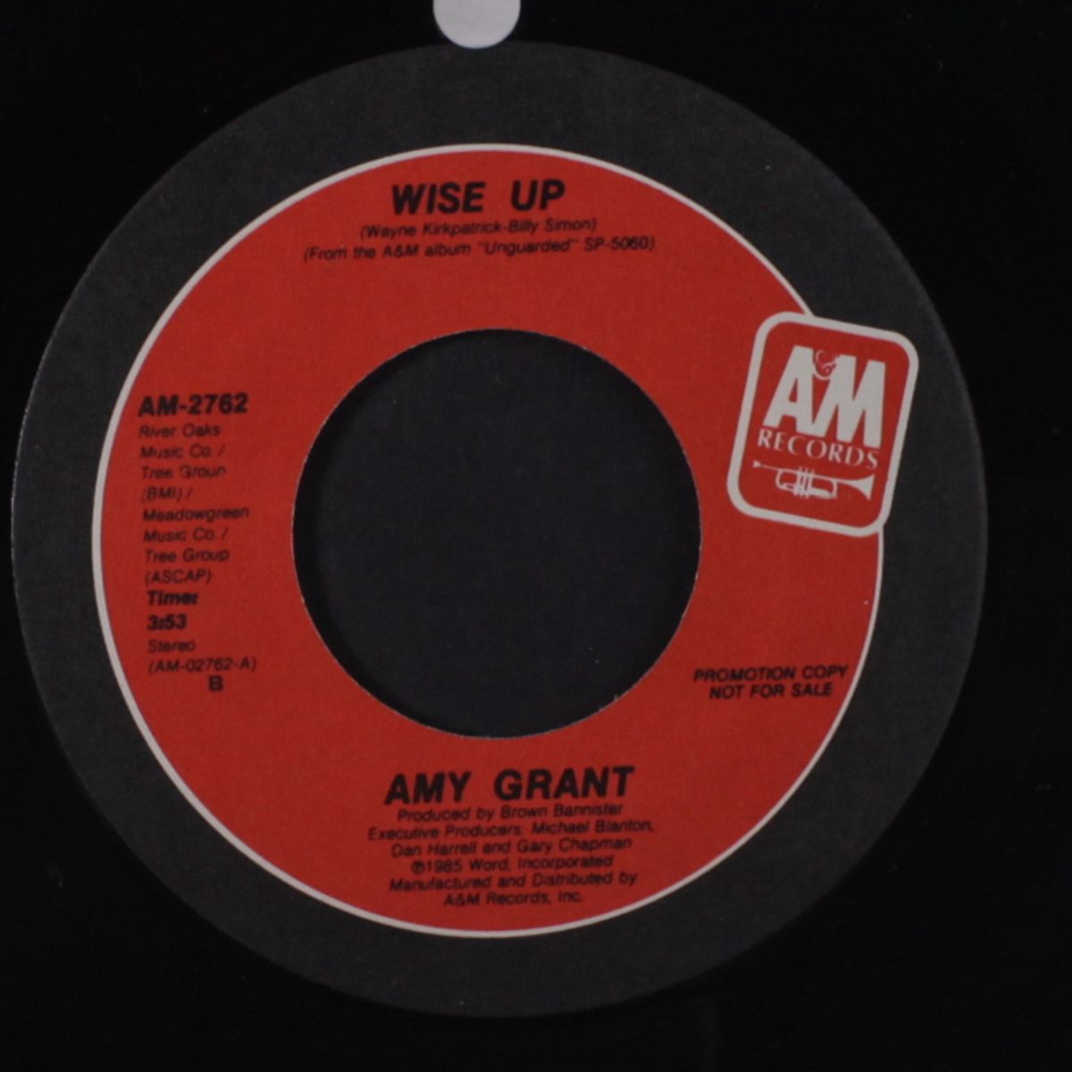 wise up / same by AMY GRANT