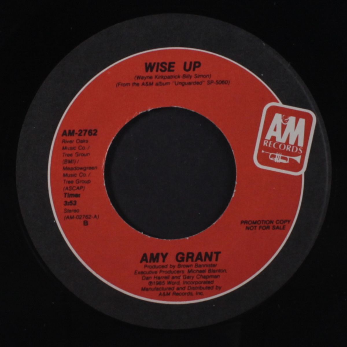 wise up / same by AMY GRANT