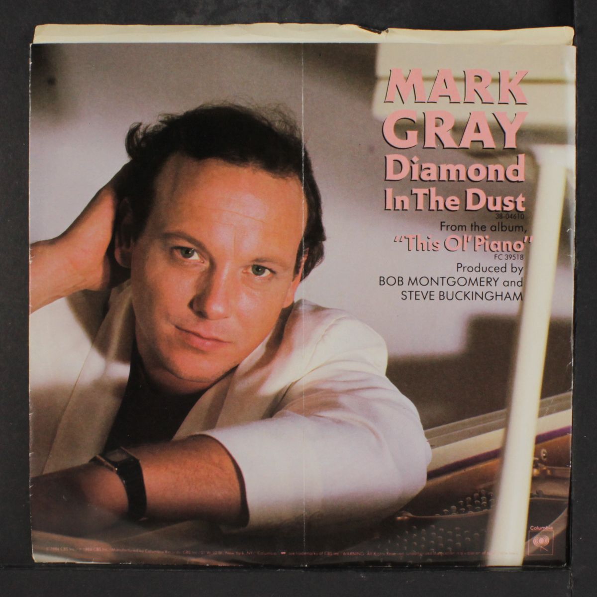 diamond in the dust by MARK GRAY