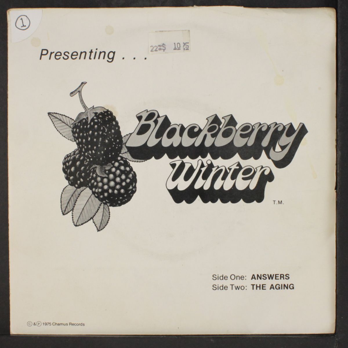 the aging / answers by BLACKBERRY WINTER