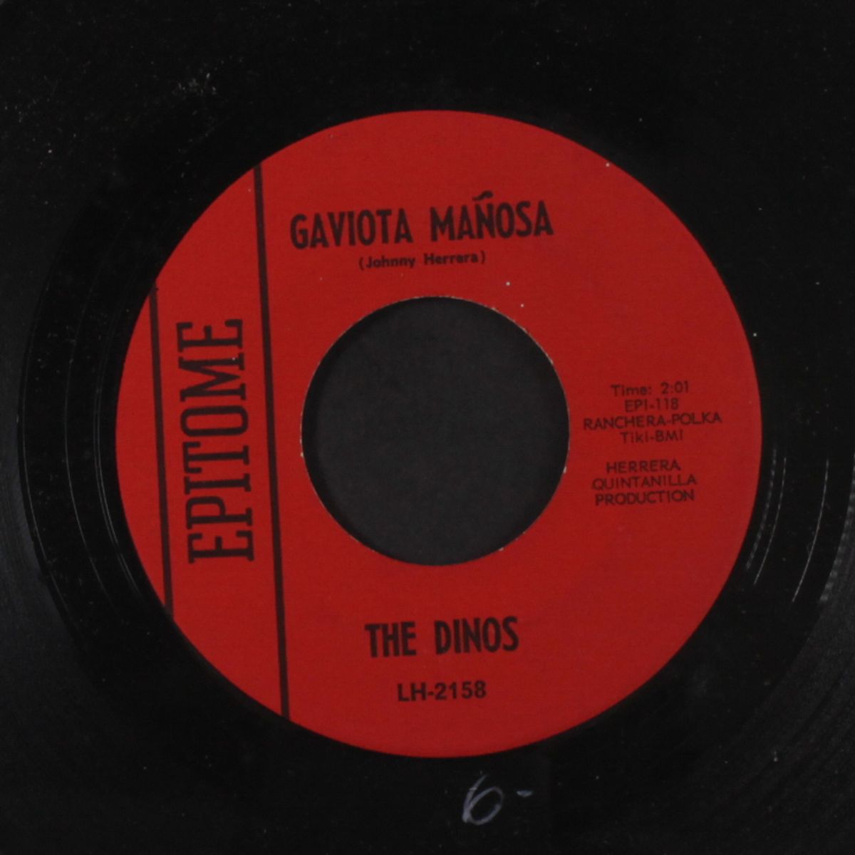 que / gaviota manosa by DINOS