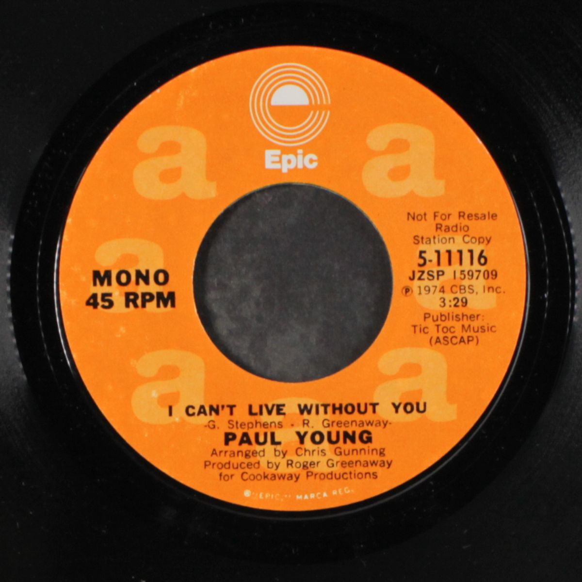 i can't live without you / mono by PAUL YOUNG