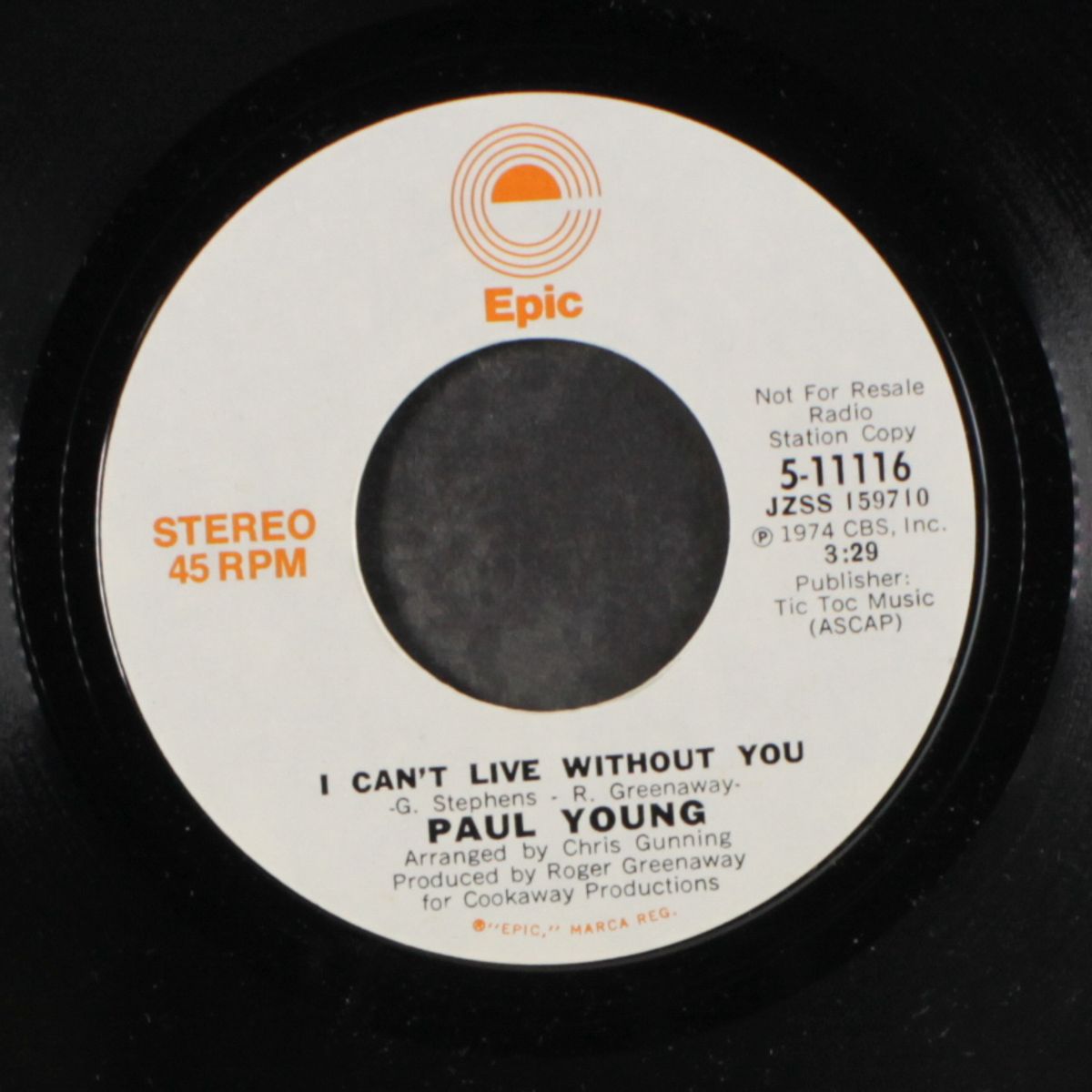 i can't live without you / mono by PAUL YOUNG