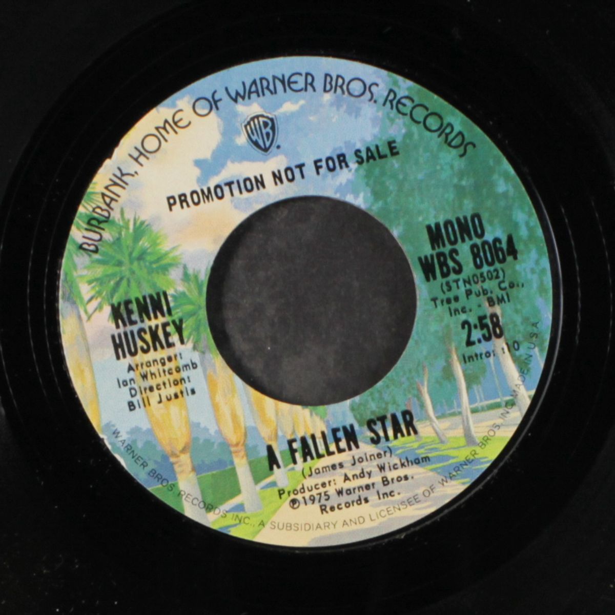 a fallen star / mono by KENNI HUSKEY