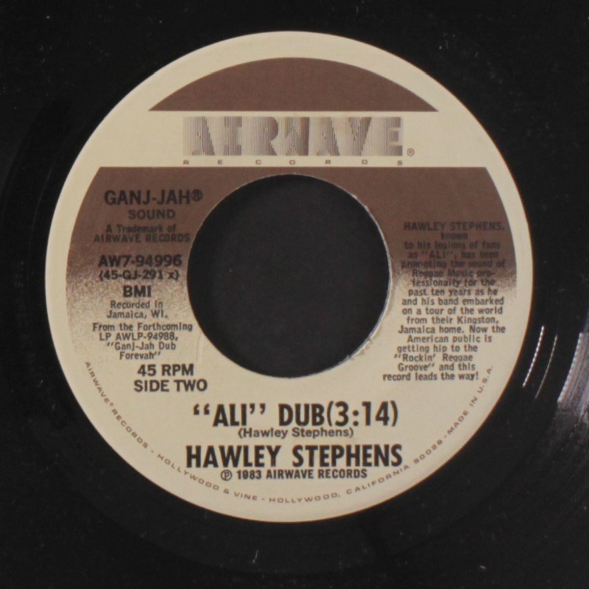rockin' reggae groove / ali dub by HAWLEY STEPHENS