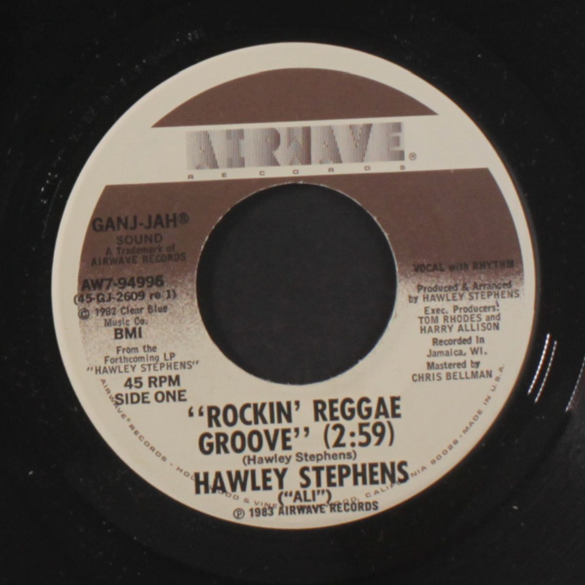 rockin' reggae groove / ali dub by HAWLEY STEPHENS