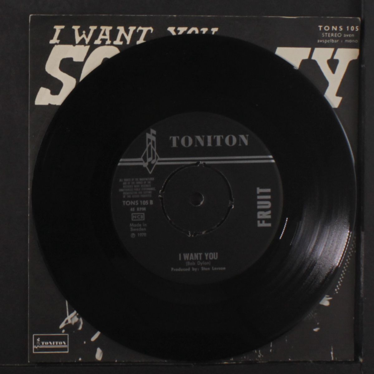 someday / i want you by FRUIT