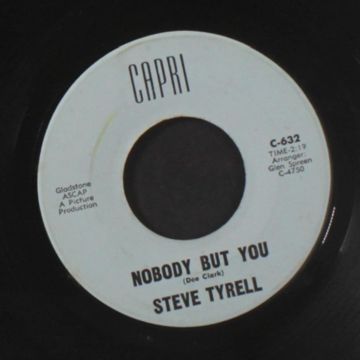 nobody but you / a boy without a girl by STEVE TYRELL