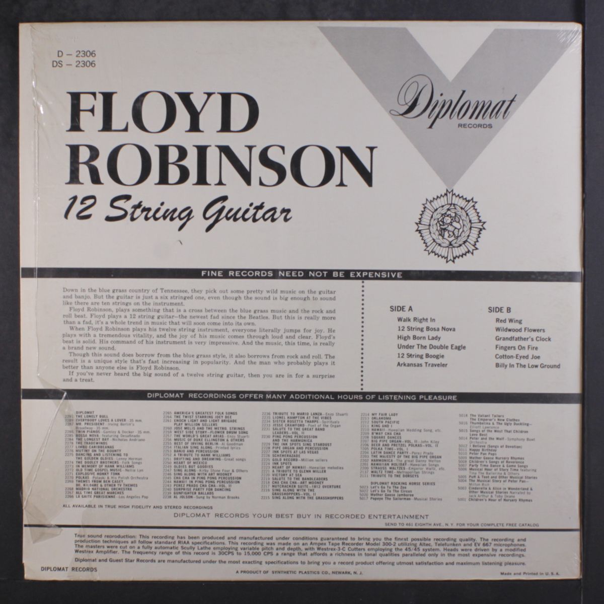 12 string guitar by FLOYD ROBINSON