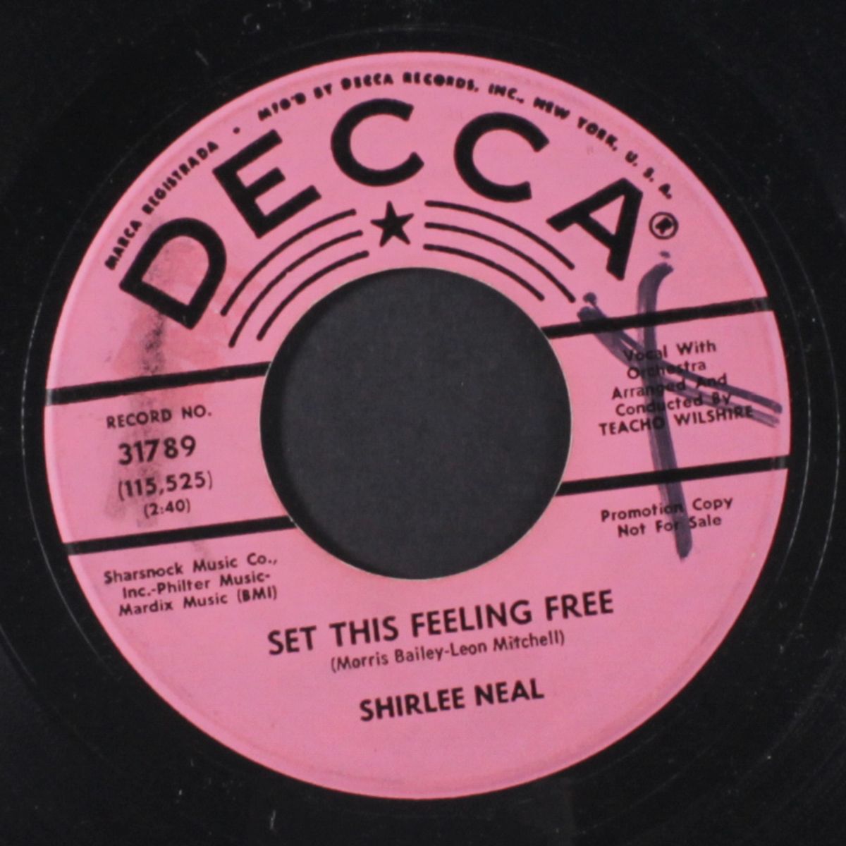 set this feeling free / bewildered by SHIRLEE NEAL