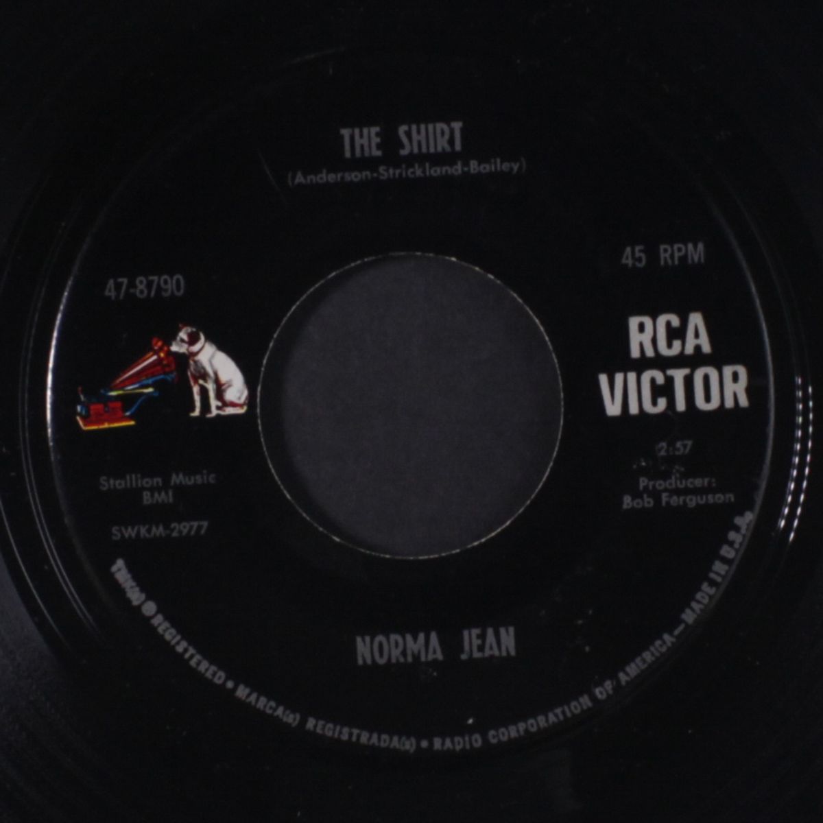 please don't hurt me / the shirt by NORMA JEAN