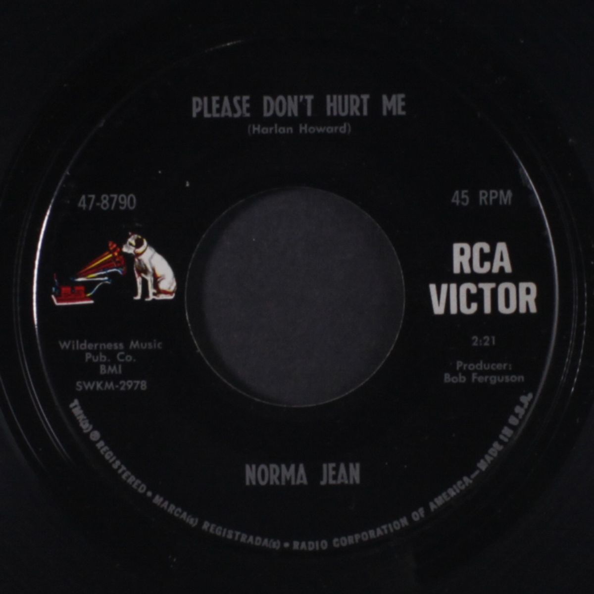please don't hurt me / the shirt by NORMA JEAN