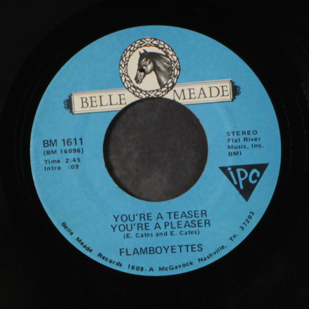 you're a teaser, you're a pleaser by FLAMBOYETTES