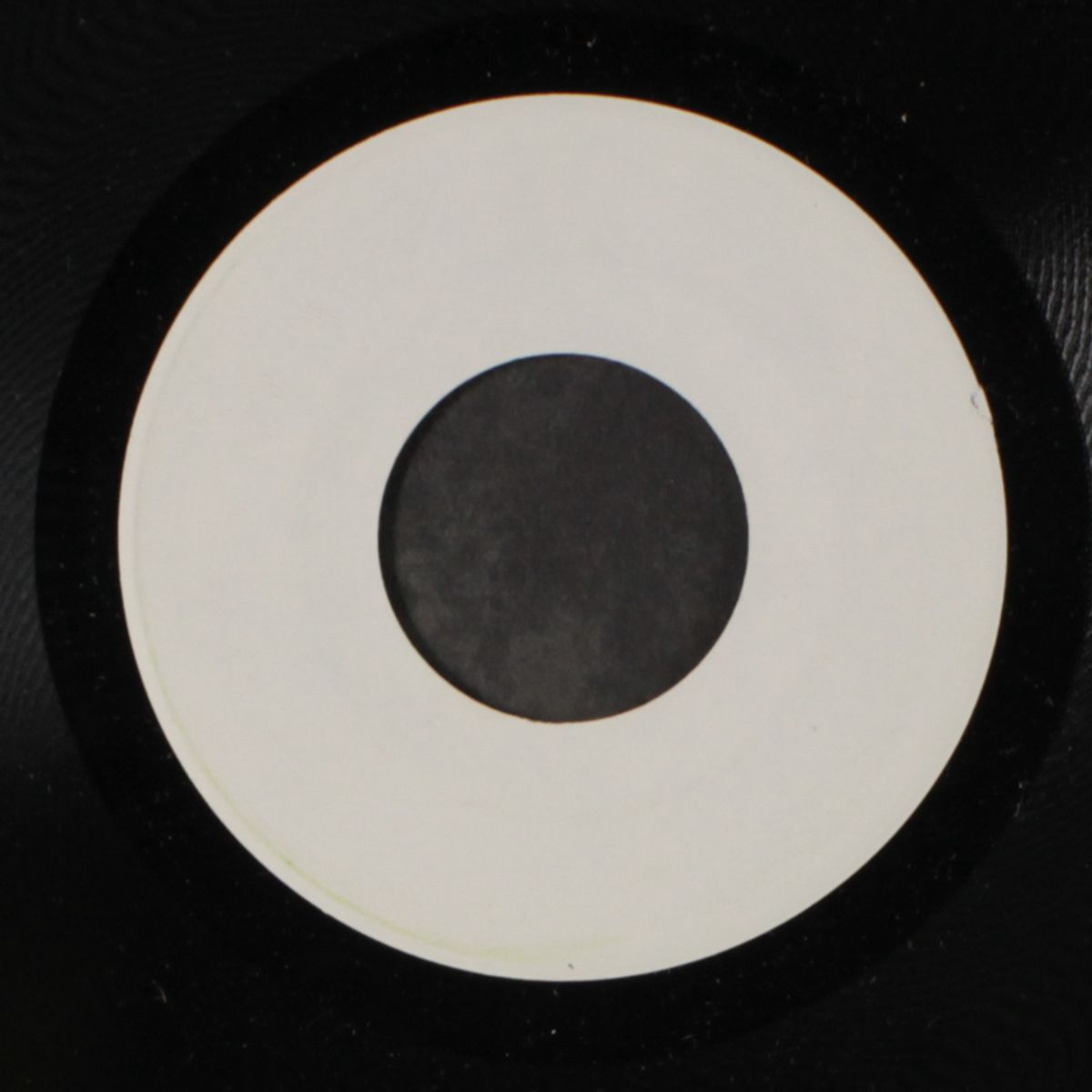 one woman / blank by STEVE ALAIMO