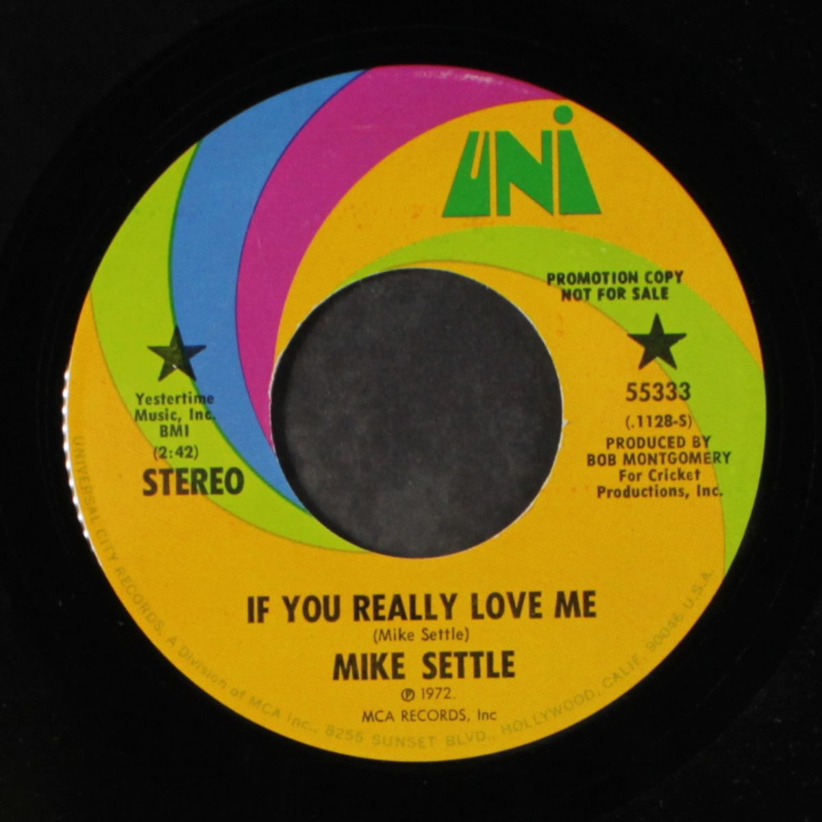 if you really love me / mono by MIKE SETTLE
