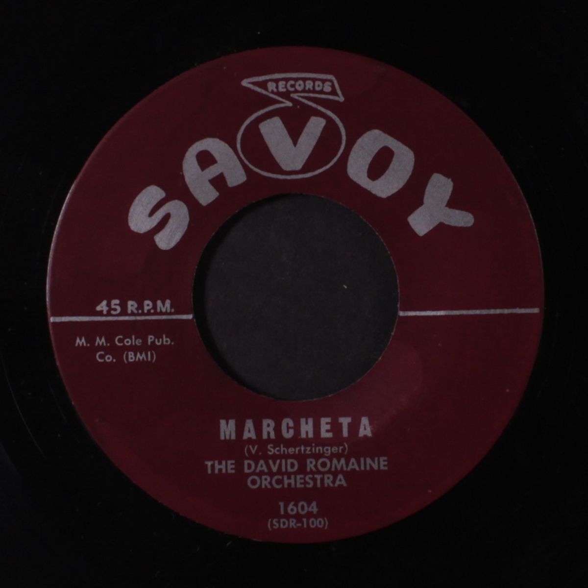marcheta / teasin melody by DAVID ROMAINE