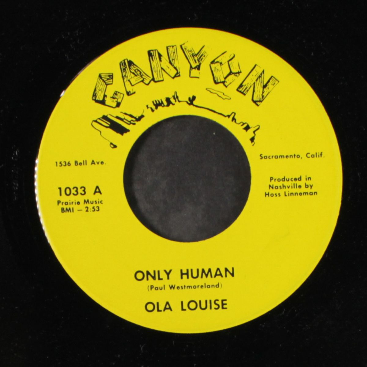 winter, summer, fall and spring / only human by OLA LOUISE