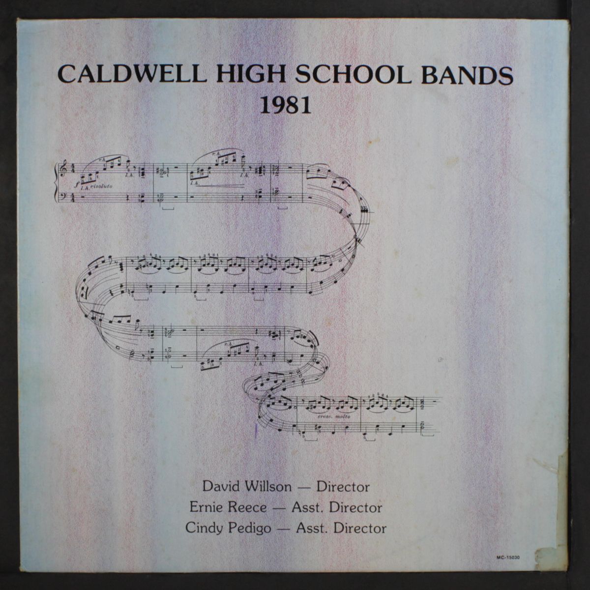 1981 caldwell high school bands by VARIOUS
