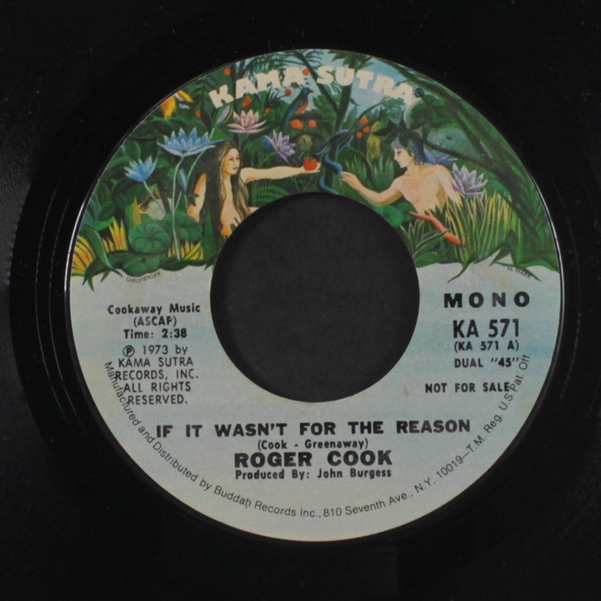 if it wasn't for the reason / mono by ROGER COOK