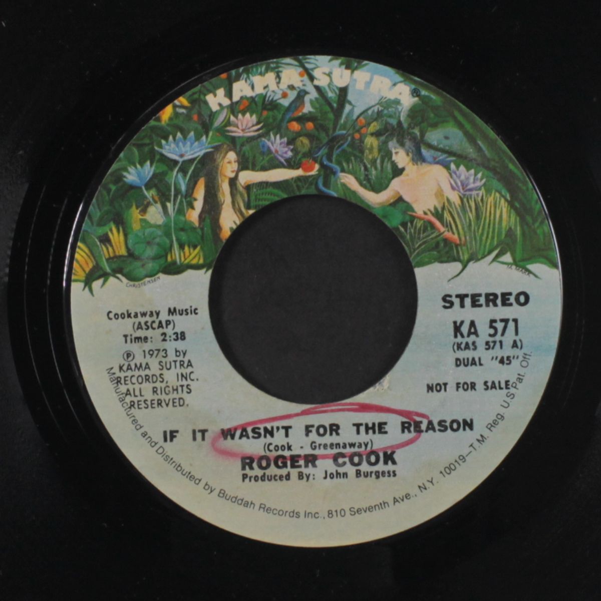 if it wasn't for the reason / mono by ROGER COOK