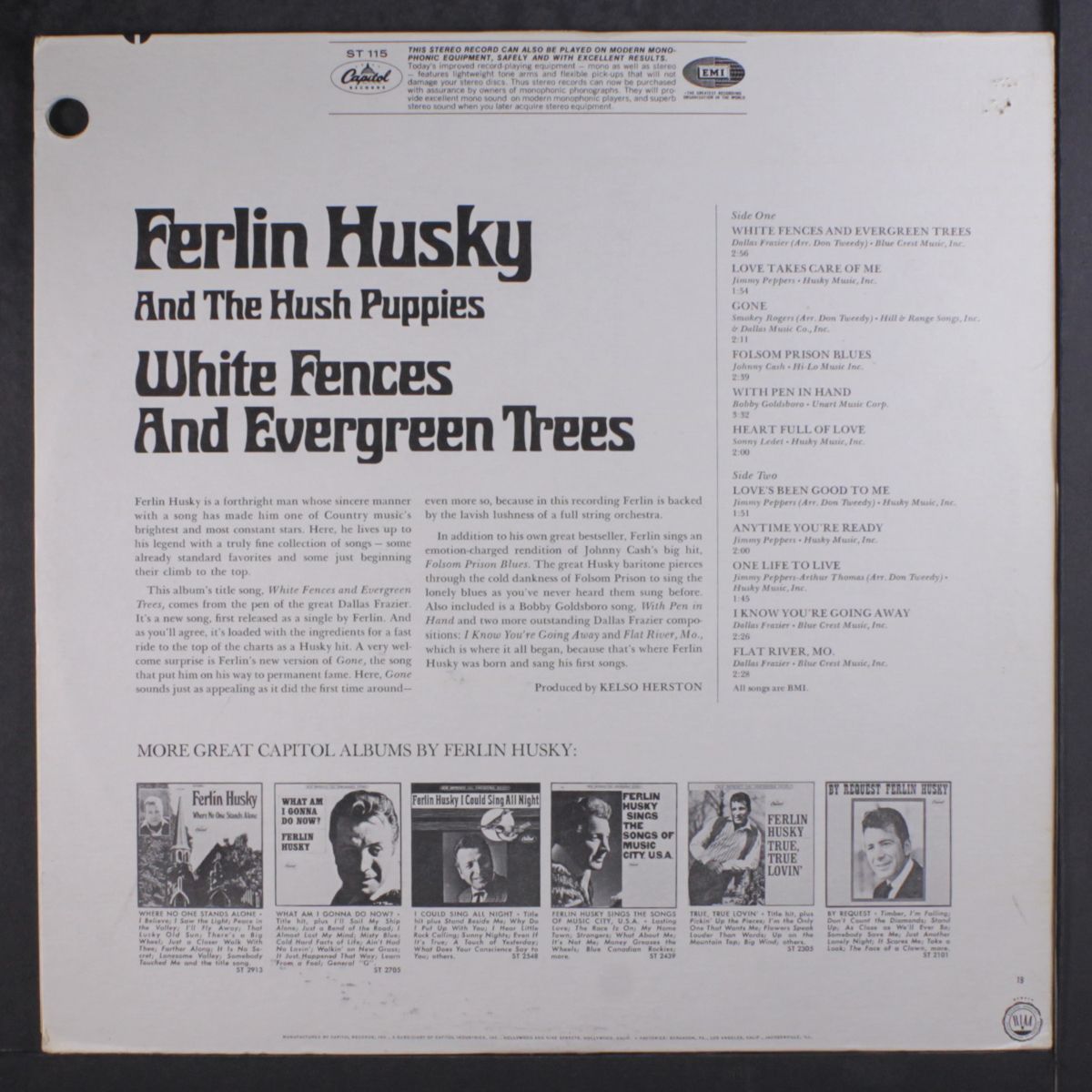 white fences and evergreen trees by FERLIN HUSKY