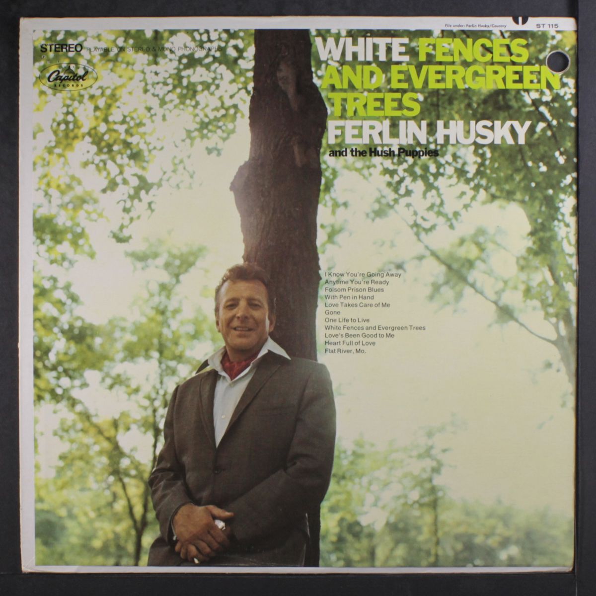 white fences and evergreen trees by FERLIN HUSKY