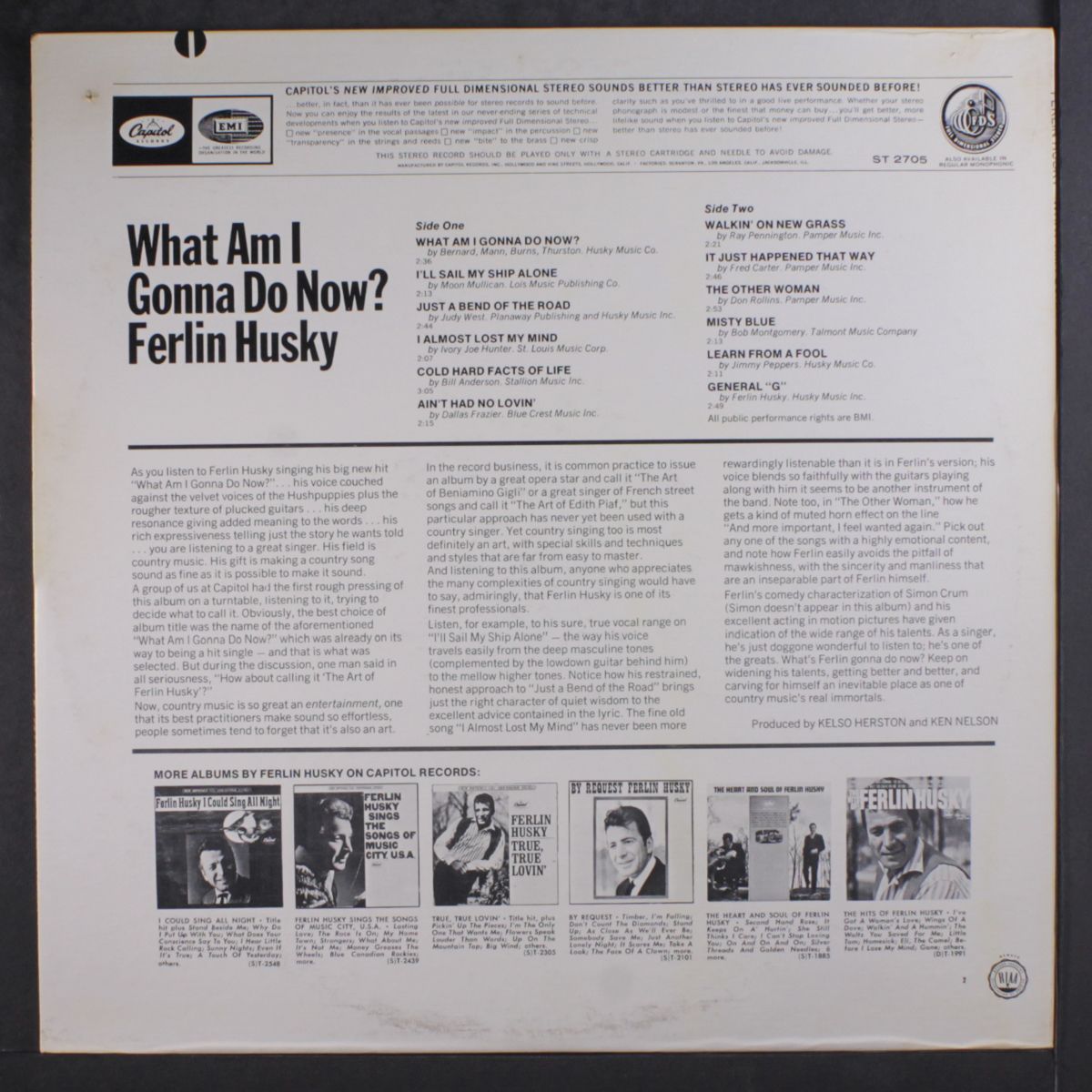 what am i gonna do now? by FERLIN HUSKY