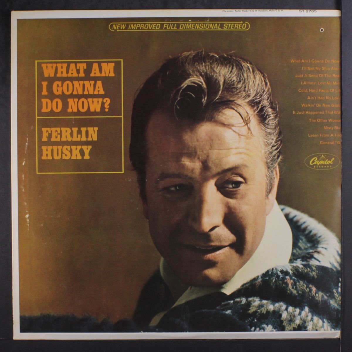 what am i gonna do now? by FERLIN HUSKY