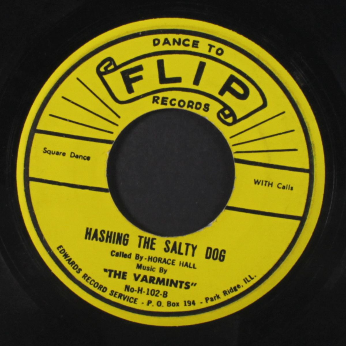 hashing the salty dog / salty dog breakdown by VARMINTS