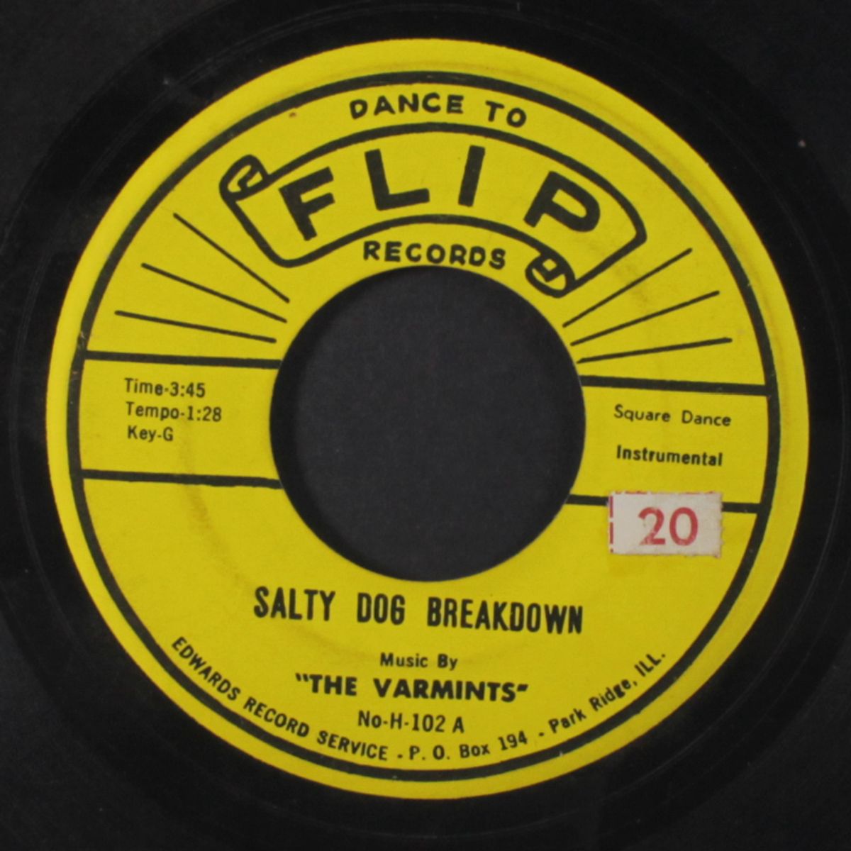 hashing the salty dog / salty dog breakdown by VARMINTS