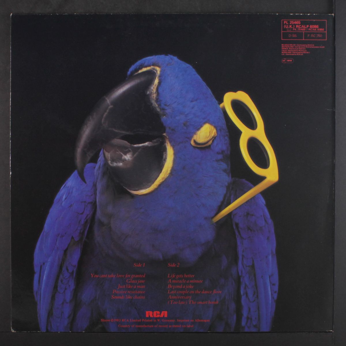 the real macaw by GRAHAM PARKER
