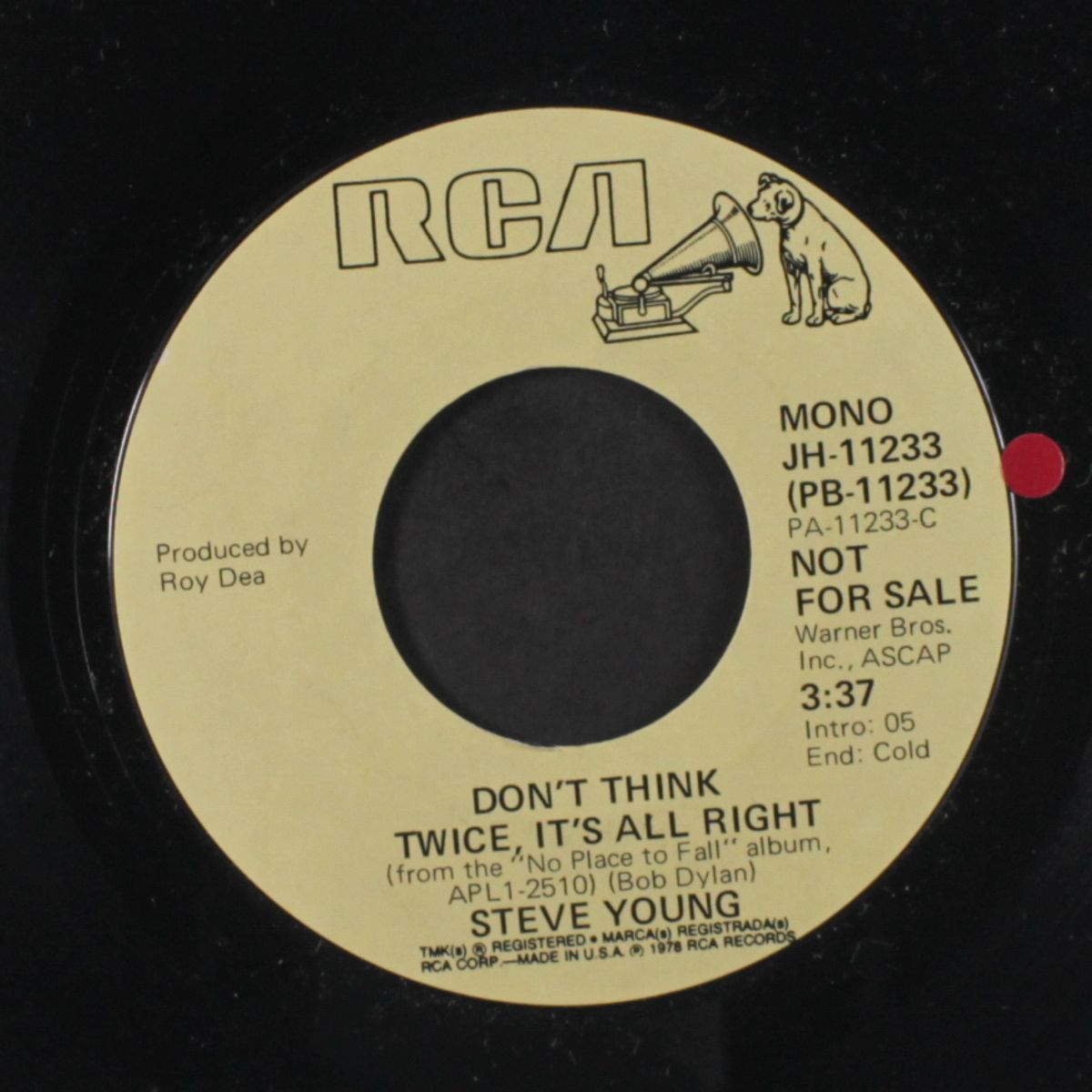 don't think twice, it's all right / mono by STEVE YOUNG